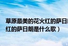 草原最美的花火红的萨日朗是什么歌（抖音草原最美的花火红的萨日朗是什么歌）