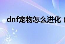 dnf宠物怎么进化（快把你的宠物进化吧）