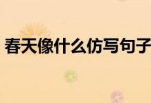 春天像什么仿写句子（春天像什么怎样仿写）