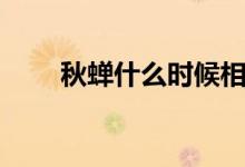 秋蝉什么时候相认（秋蝉剧情简介）