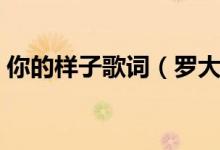 你的样子歌词（罗大佑演唱的你的样子歌词）