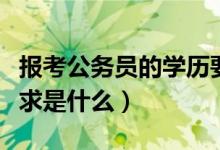 报考公务员的学历要求（报考公务员的学历要求是什么）