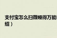 支付宝怎么扫薇娅得万能福（支付宝扫薇娅得万能福方法介绍）