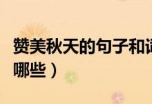 赞美秋天的句子和词语（秋天的句子和词语有哪些）