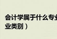 会计学属于什么专业系列（会计学属于什么专业类别）