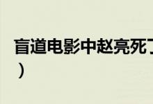 盲道电影中赵亮死了吗（盲道电影中赵亮死了）