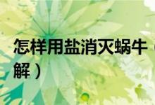 怎样用盐消灭蜗牛（怎样用盐消灭蜗牛办法详解）