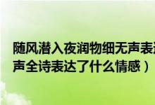 随风潜入夜润物细无声表达什么意思（随风潜入夜润物细无声全诗表达了什么情感）