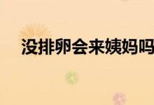 没排卵会来姨妈吗(没排卵会来月经吗)