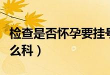检查是否怀孕要挂号吗(检查是否怀孕要挂什么科)