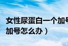 女性尿蛋白一个加号严重吗（女性尿蛋白一个加号怎么办）