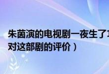 朱茵演的电视剧一夜生了10个小孩是什么剧（了解一下大家对这部剧的评价）