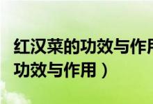 红汉菜的功效与作用及禁忌有哪些（红汉菜的功效与作用）