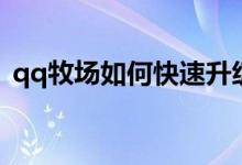 qq牧场如何快速升级（qq牧场怎样升级快）