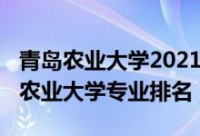 青岛农业大学2021年全国排名（2022年青岛农业大学专业排名）