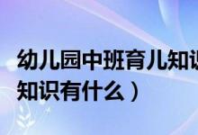 幼儿园中班育儿知识（关于幼儿园中班的育儿知识有什么）
