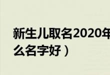 新生儿取名2020年好名字大全(新生儿叫什么名字好)