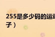255是多少码的运动鞋子(255是多少码的鞋子)