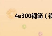 4e300钢筋（钢筋400E代表什么）