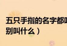 五只手指的名字都叫什么（五只手指的名字分别叫什么）
