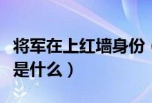 将军在上红墙身份(将军在上红蔷的真实身份是什么)