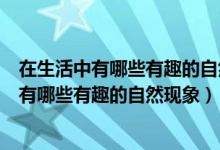 在生活中有哪些有趣的自然现象并获得哪些启示（在生活中有哪些有趣的自然现象）