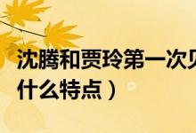 沈腾和贾玲第一次见到腰什么节目（该节目有什么特点）