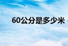 60公分是多少米（60公分是多少厘米）