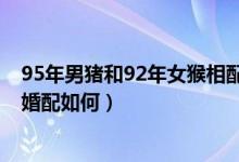 95年男猪和92年女猴相配婚姻如何（92年猴男和95年猪女婚配如何）