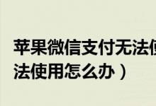 苹果微信支付无法使用面容（苹果微信支付无法使用怎么办）