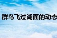 群鸟飞过湖面的动态描写（这五句写得很好）