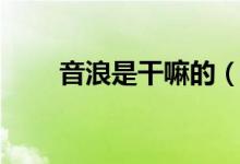 音浪是干嘛的(音浪太强是什么梗)