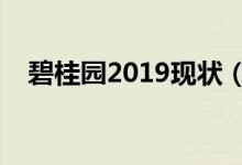 碧桂园2019现状（碧桂园房子质量排名）