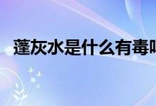 蓬灰水是什么有毒吗（蓬灰水是什么东西）