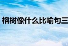 榕树像什么比喻句三个(榕树像什么比喻句)