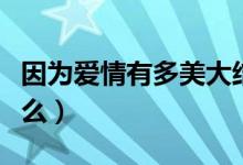 因为爱情有多美大结局剧情介绍（大结局是什么）