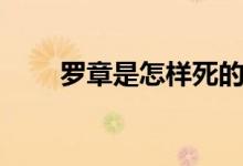 罗章是怎样死的(罗章是怎么死的)