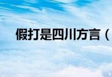 假打是四川方言（假打四川话什么意思）