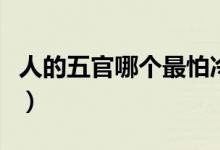 人的五官哪个最怕冷(五官最怕冷的部位是哪)
