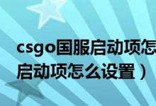 csgo国服启动项怎么输入才有用（csgo国服启动项怎么设置）