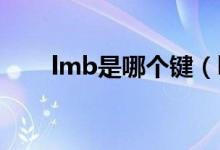 lmb是哪个键（lmb rmb是什么键）