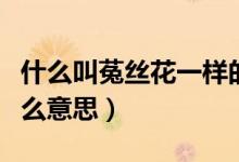 什么叫菟丝花一样的女人(菟丝花形容人是什么意思)