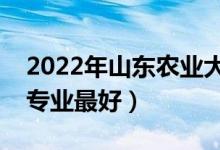 2022年山东农业大学专业排名及介绍（哪些专业最好）