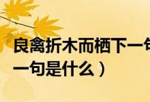 良禽折木而栖下一句是什么（良禽折木而栖下一句是什么）