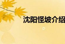 沈阳怪坡介绍（沈阳怪坡原理）