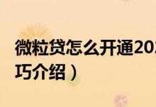 微粒贷怎么开通2020(2020年微粒贷开通技巧介绍)