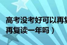 高考没考好可以再复读一年吗（高考落榜可以再复读一年吗）
