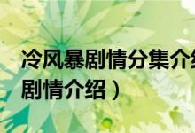 冷风暴剧情分集介绍（电视剧冷风暴1-5集的剧情介绍）
