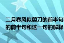 二月春风似剪刀的前半句和这一句的意思（二月春风似剪刀的前半句和这一句的解释）