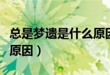 总是梦遗是什么原因造成的(总是梦遗是什么原因)